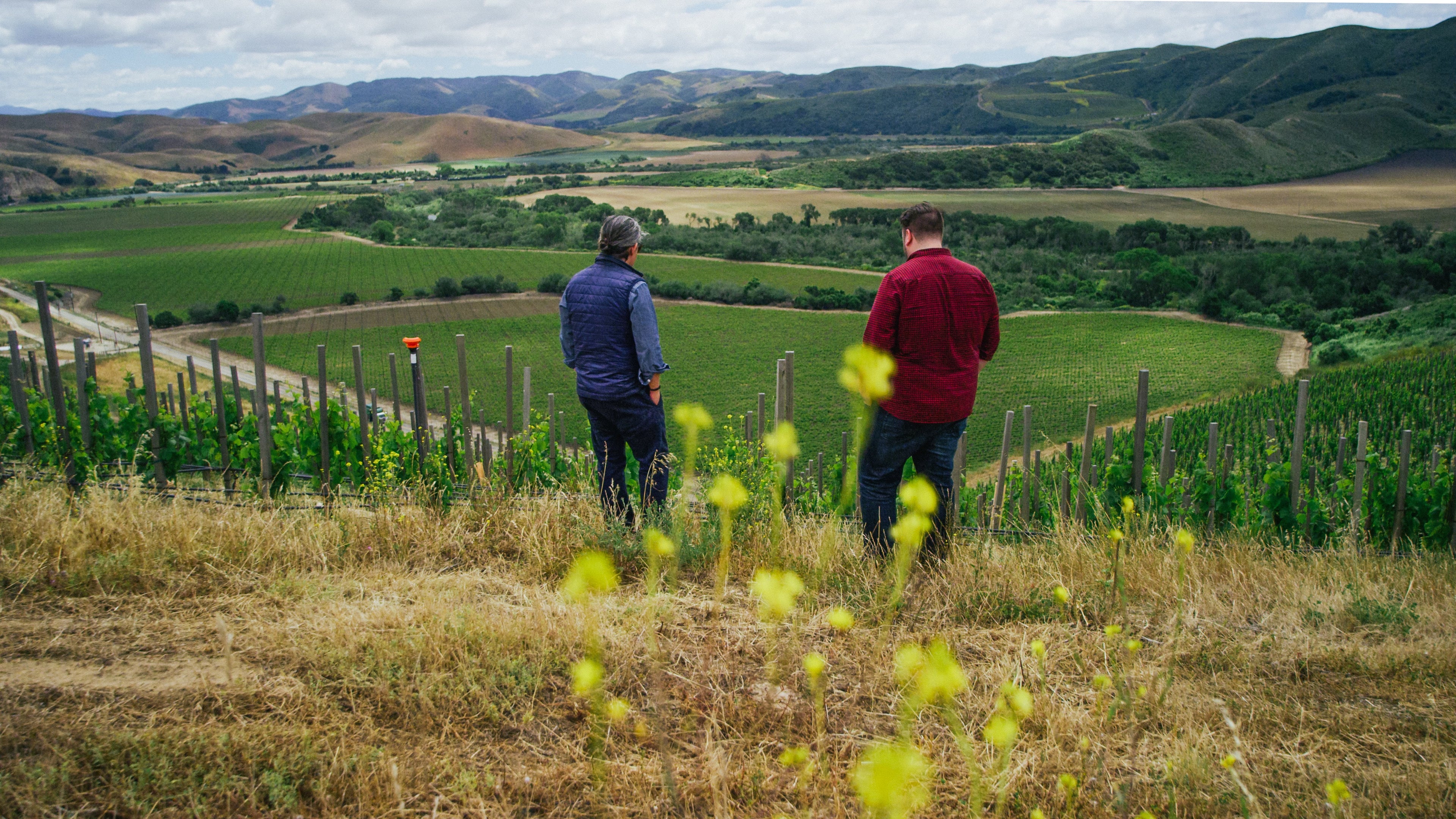 American Wine and the Summer of Anniversaries