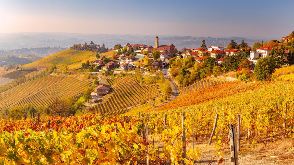 October Wine Club - Off to Piedmont We Go